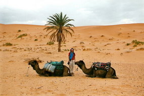 Ellen and Camels