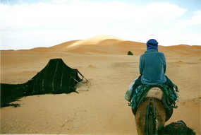 The Desert Trek