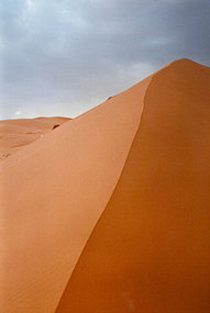 The Sahara