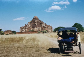 Janosik in the back of the buggy