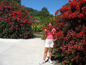 04 - A Flower Amongst Flowers