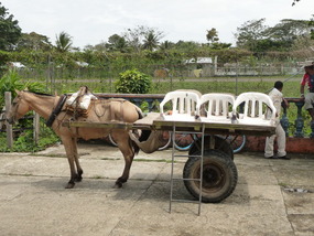 Airport Limousine Service at Capurgana...