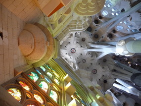 The Ceiling of Sagrada Familia 
