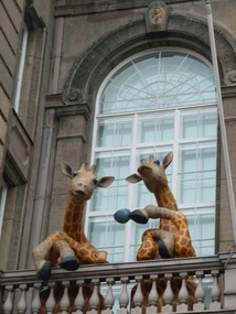 Happy Giraffes on the Balcony of the... 