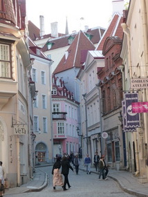Tallinn's Winding Streets 