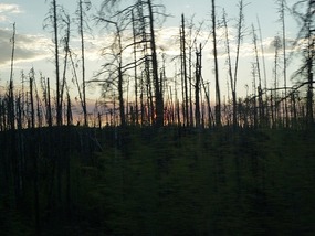 We railed through a forest fire with water ...
