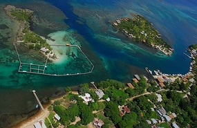 Dolphin Prison: We swam from shore to the ...