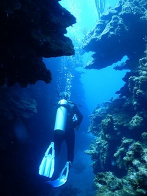 This blue shot was taken by Dina, my ...