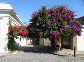 Elenka standing under a Bougainvillea - Colonia