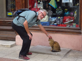Odessa - city of cats