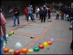 Guinea pig racing
