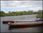 Indian dug out canoes