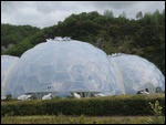 The rainforest biome .