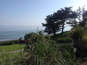 From our front window