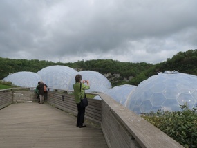 The Biomes