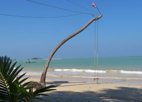 Coconut Beach