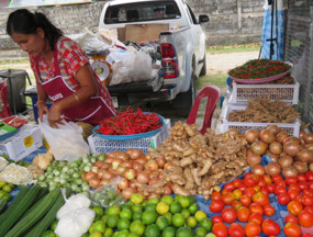 Bang Niang market