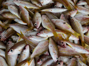 Bang Niang market