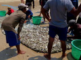 Fishing at Coconut Beach