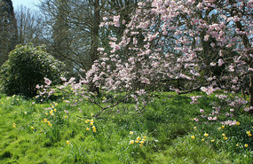 Hever gardens