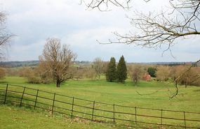 View from Borde Hill gardens