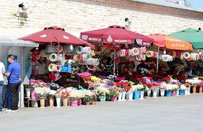 Flower sellers at Beyoglu