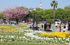 Spring gardens