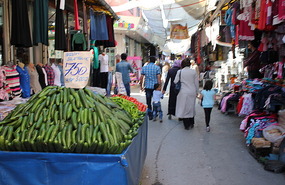 Cucumbers and tomatoes fantastic here