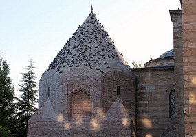 Pigeons on mosque