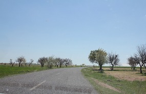 Now flat with flowering trees here and there