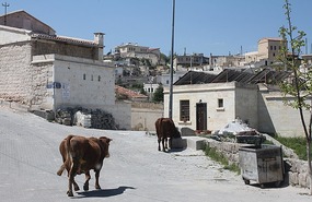 Leaving Mustafapasa