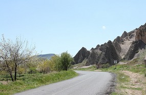 Landscape changes