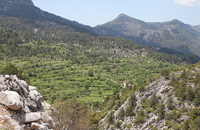 Lovely green valley