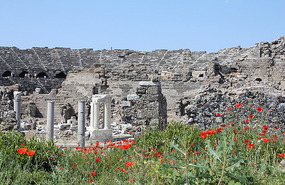 Side