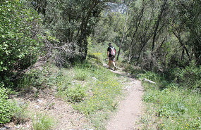 Nearly  back down