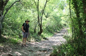 Start of the walk