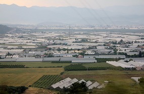Fertile valley