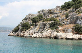 Rocks and pine trees