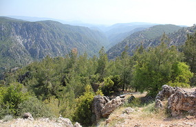 Gorge in mountains