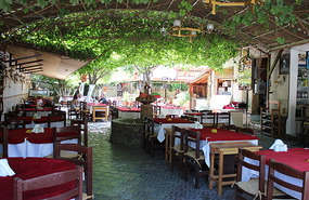Many restaurants use vines for shade