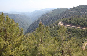Road to Pamukkale