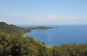 Assos