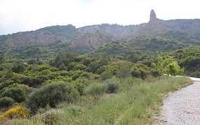 Anzac Memorial area