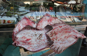 Flounder at fish retaurants