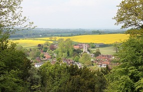 View from the edge of the woods