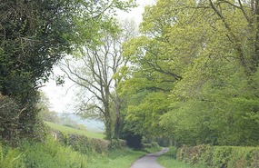 Lovely drive