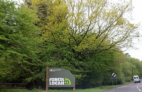 Drove through Forest of Dean