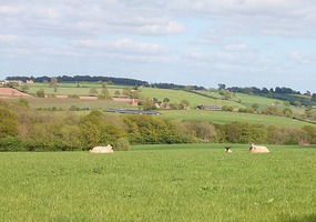 Farmland near Bishop's Frome