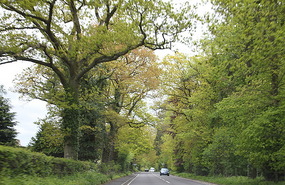 On the way to Shrewsbury