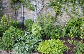 Garden bed